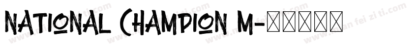National Champion M字体转换